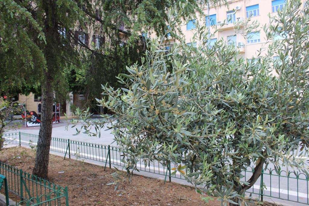 Hotel Del Viale Agrigento Servizi foto